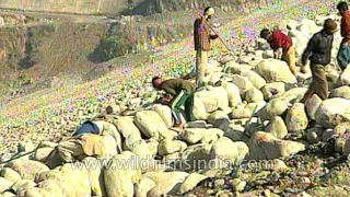 Himalayan Dam construction in India - mountain hydro-power