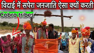 सपेरा जनजाति  विदाई देख दिल खुश हो उठा|| बारातियों से विदाई का मामला desert ki Kalbeliya community