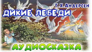 ДИКИЕ ЛЕБЕДИ. Г.Х.Андерсен. Аудио-книга.