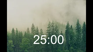 Pomodoro Study Timer w/ Chill Lofi Music 📚 - 4x25 Minutes ⏳ (2 HOUR)