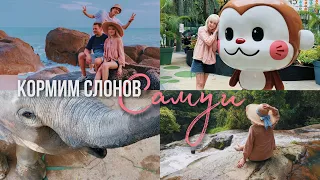 Самуи 🌵 Кормим Слонов 🐘 Водопады / Шоппинг на Острове /ДУРИАНЫ НА ДОРОГЕ?!