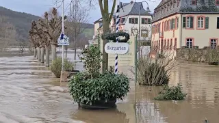 Mosel Hochwasser in Zeltingen am 04.01.2024