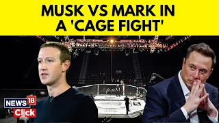 Elon Musk vs Mark Zuckerberg | Elon Musk Challenges Zuckerberg For A Cage Fight | English News