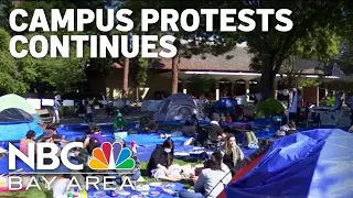 Pro-Palestinian protests continue at college campuses in Bay Area, across the nation