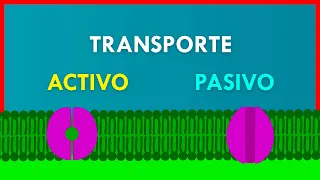 TRANSPORTE ACTIVO y PASIVO en la MEMBRANA PLASMÁTICA