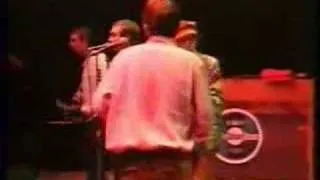 Ocean Colour Scene - Day Tripper - Royal Albert Hall 1997