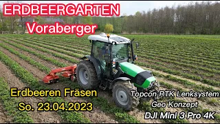 ERDBEERGARTEN Voraberger Fräsen 2023