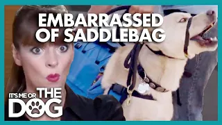 Owner is Embarrassed by Husky's Saddlebag! | It's Me or The Dog