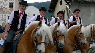 Haflinger Festival  Schluderns 2024