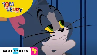 Tom and Jerry: Sneaky Cat | Cartoonito Africa