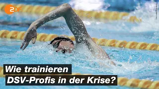 So bereiten sich Deutschlands Top-Schwimmer & -Schwimmerinnen auf Olympia vor | SPORTreportage - ZDF