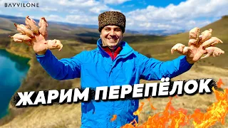 ШАШЛЫК из ПЕРЕПЕЛОК в НЕВЕРОЯТНО КРАСИВОМ месте на КАВКАЗЕ. (ENG SUB)