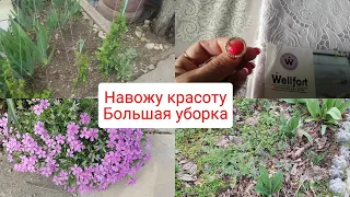 Привожу в порядок клумбы Часть2/Кошу траву/Скупилась в магните, скидки