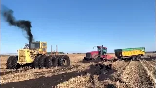 MUD 2019 | Cat TRIPLE WHEELS in FRANCE with QUADTRAC STUCK 🤦🏻‍♂️