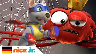 PAW Patrol | Apollo, der Superwelpe, gegen den Spinnenkönig! | Nick Jr.