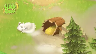 Completed White Arctic Fox | Hay Day Level 178 💜