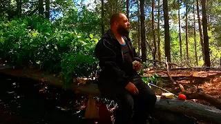 Одиночный бушкрафт поход в лес, построил укрытие, еда на костре