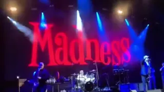 Madness - Madness - Halifax Piece Hall 2023