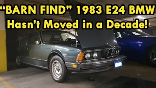 I Just Got an E24 BMW 633CSi That's Been Sitting Underground for 8 Years! Can I Start This Beast Up?