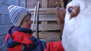 A WINTER DAY IN CHUVASHIYA. One day of the family in countryside of Chuvash region. Russia