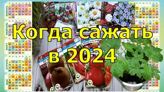 КОГДА СЕЯТЬ на рассаду ПЕРЦЫ, ТОМАТЫ И ЦВЕТЫ по ЛУННОМУ КАЛЕНДАРЮ в 2024 году, Благоприятные дни