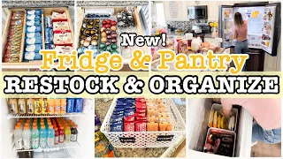 FRIDGE RESTOCK + PANTRY ORGANIZATION | CLEAN AND ORGANIZE WITH ME 2022 | PUTTING AWAY GROCERY