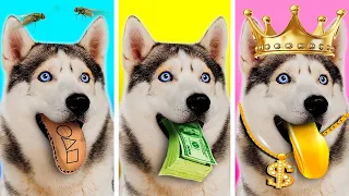 Adotei um cachorro bilionário - cão rico Vs garota sem grana | Por La La Lândia Emoji
