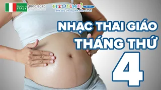 Nhạc Thai Giáo Tháng Thứ 4: Giúp Bé Thông Minh Từ Trong Bụng Mẹ | Nhạc Cho Bà Bầu 4 Tháng Đầu Dễ Ngủ