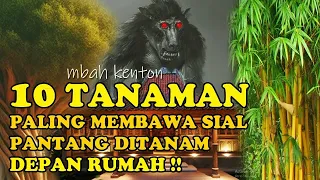 DHAWUHE SIMBAH❗_INILAH 10 TANAMAN PEMBAWA SIAL DAN SENGKOLO JIKA TUMBUH DIDEPAN RUMAH !!