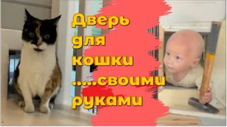 Дверь для кошки