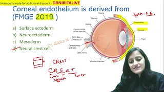 Mnemonic of the day - IPC sections|Eye embryology | ophthalmology mnemonic | Dr. Nikita Nanwani