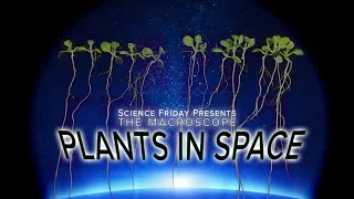 Plants in Space!