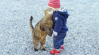 When you are my one and only special friend👶❤️🐱Cute Cats and Human