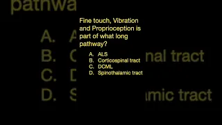 Long Sensory Pathways #shorts (Part A)