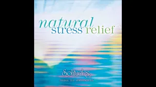 Natural Stress Relief: Music for Your Health - Dan Gibson & David Bradstreet
