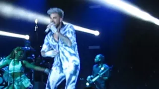 Adam Lambert- If I Had You TOH tour VIENNA 2.5.16