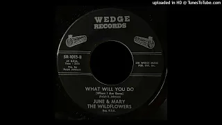 June & Mary, The Wildflowers - What Will You Do (When I Am Gone) - Wedge Records (MD)