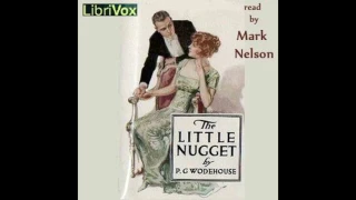 Little Nugget by P G  Wodehouse #audiobook