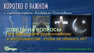 Что нужно знать православному о мусульманстве, чтобы не обижать их? Протоиерей Андрей Ткачев