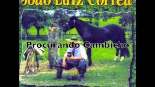 Procurando Cambicho - João Luiz Corrêa