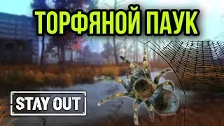 Торфяной паук-кровавые деньги / Сталкер Онлайн / Stay Out