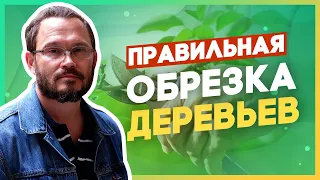 Работайте секатором правильно! Тонкости арбористики