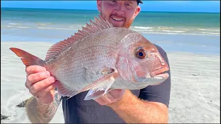 BEACH FISHING for Snapper