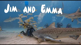 Emma the Tiger Shark and Jim Abernethy