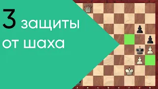 3 защиты от шаха в шахматах (урок для начинающих)