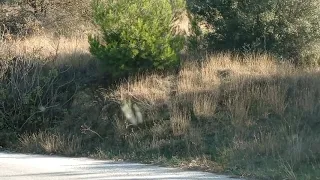 ΤΑΞΊΔΙΑ-ΤΟΠΟΘΕΣΙΕΣ  (06) 20-11-20 ΑΓΆΠΗ ΜΟΥ ΠΛΑΤΩΝΙΚΗ