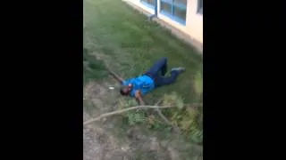 Tree Branch Fails