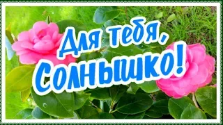 Любимое мое Солнышко, это тебе от меня! Ты мое счастье!