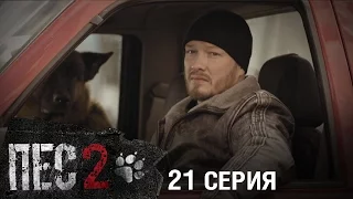 Сериал Пес - 2 сезон - 21 серия - ПРЕМЬЕРА