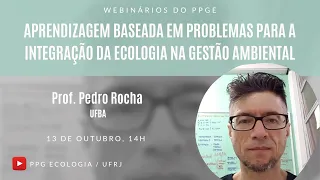 Webinar do PPGE - Prof. Pedro Rocha